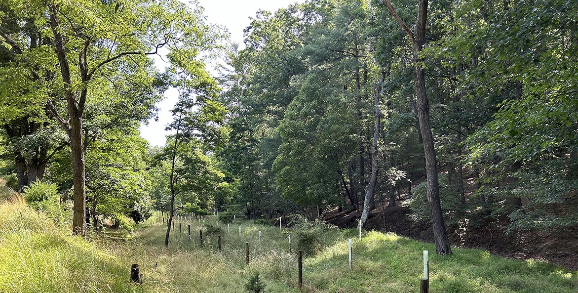 woollyfarm_westvirginia_lisacaruso_1171x593