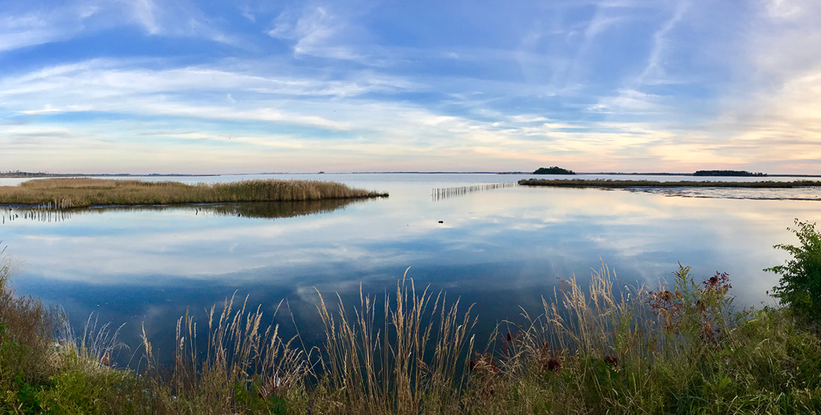 yir-20_message_marsh-fence_Linda-Norris.jpg