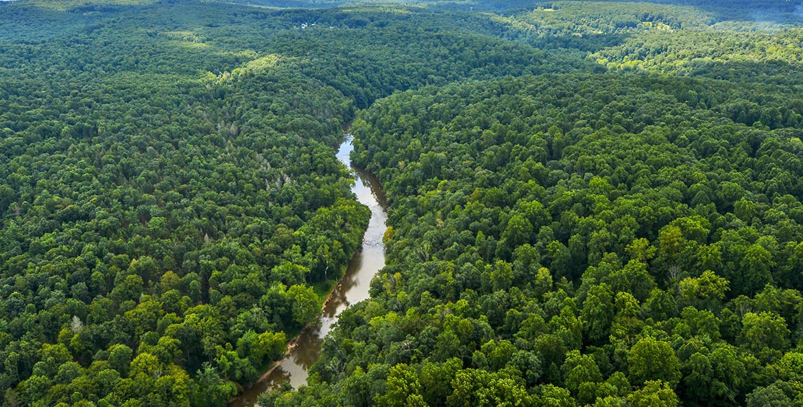 A river cuts through a forest in York County, Pennsylvania.