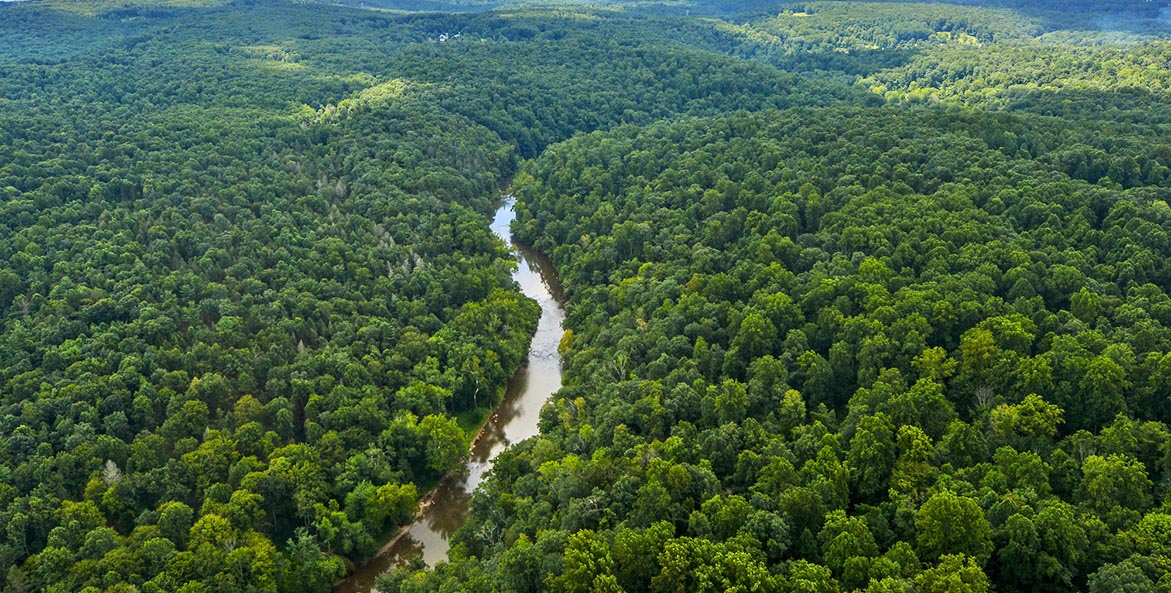 York County Forest_JohnPavoncello_1171x593