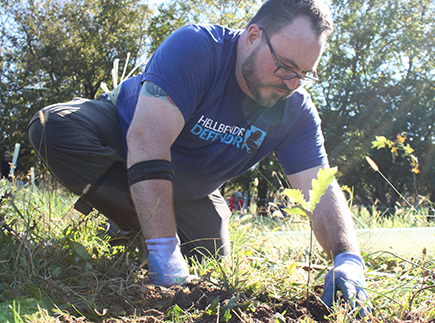 Man plants oak tree seedling in pasture.