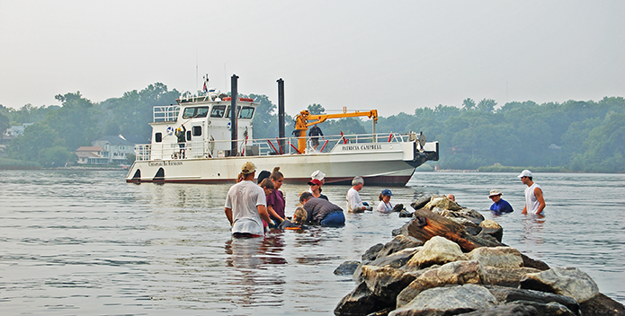 07-06-08-South-River-oyster-planting-MD-restoration_695x352.png