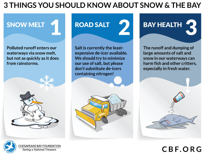 Graphic: 1 (showing melting snowman) Snow Melt: Polluted runoff enters our water ways via snow melt, but not as quickly as it does from rainstorms. 2 (showing snow plow) Road Salt: Salt is currently the least expensive and most efficient de-icer available for municipal use. 3 (image of salt being poured on a dead fish) Bay Health: Large amounts of salt can disrupt the balance in our water ways. It is better to let salted snow melt on land for a more gradual influx.