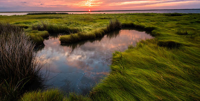 BobMiller_SmithIsland_BayGrass_SunRise-695x352