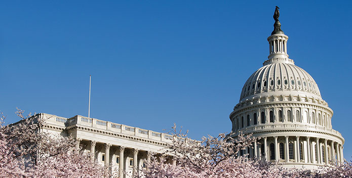 DC-Capitol_copyright-iStock-695x352