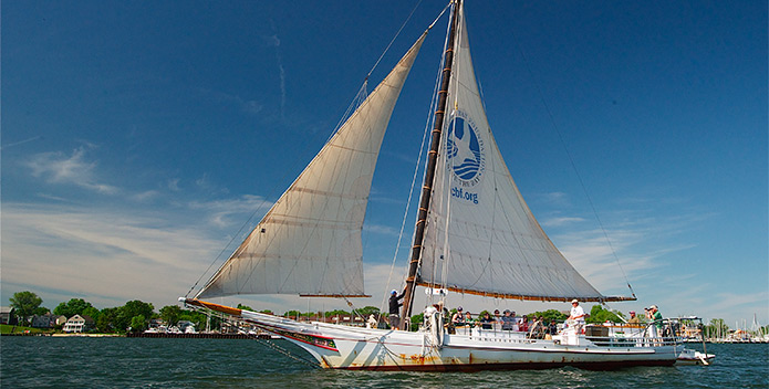 DSC_5798_skipjack-Stanley-Norman_May-2012_copyright-Bill-Portlock-695x352