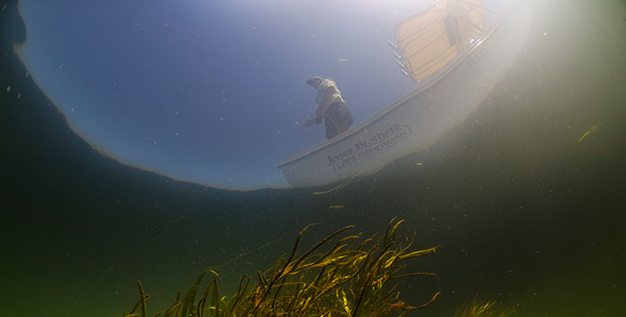 Looking up at a fisherman from under the water. Octavio Aburto/iLCP