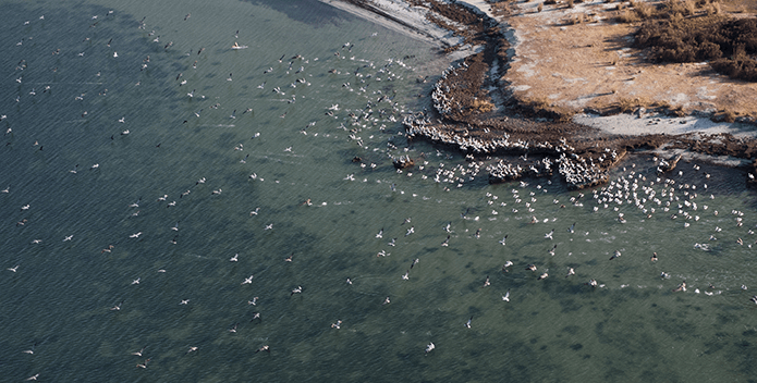 Aerial clean water Bay shot-Bill Portlock-695x352