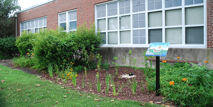 Rain garden planted at Armstrong Elementary School in Hampton, Virginia.