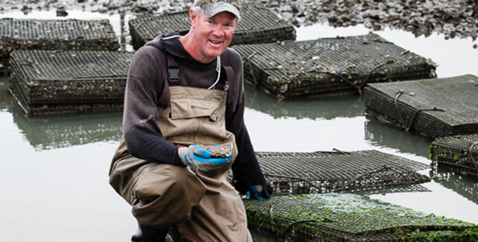 Man in waders kneeling next to oyster cages.