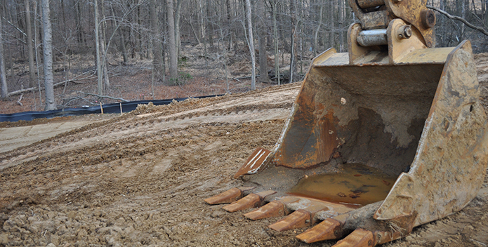 Clear Cutting Forests 695x352