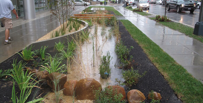 curbside rain garden DC-DOEE 695x352