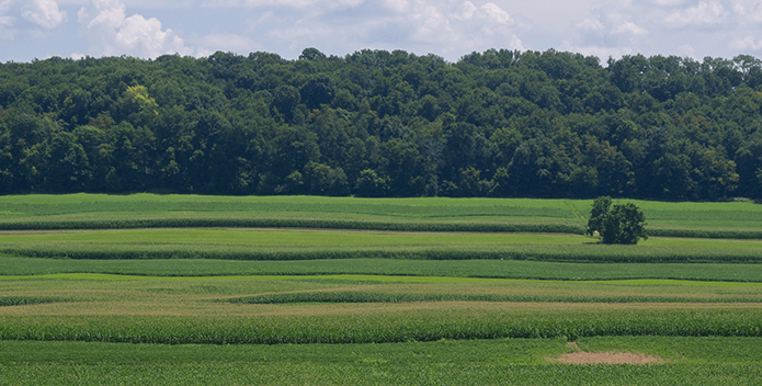 farm best practices - Kelly O'Neill - 695x352