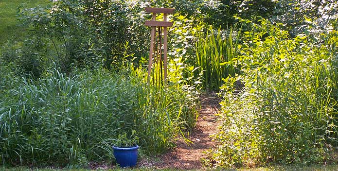 frontyard-wetland-6-2007-design_MarcyDamonCBF_695x352.jpg