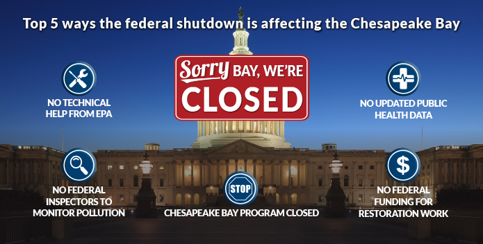 Government Shutdown and the Bay