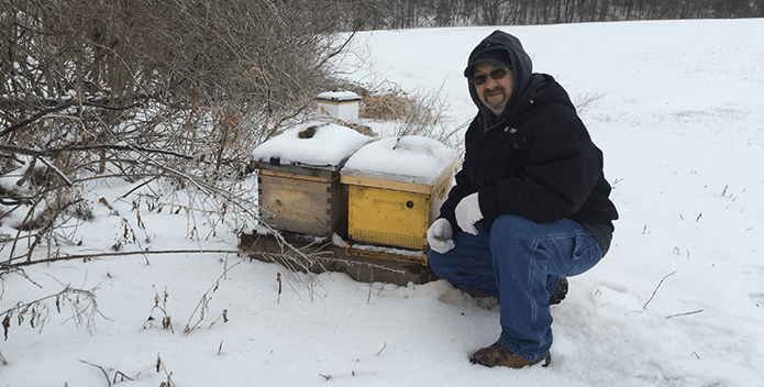 graybill proud bee hives-Bill Chain-695x352