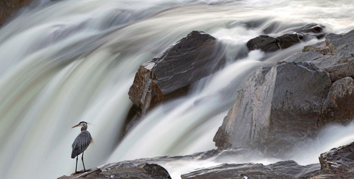 Great Falls by Mike Leonard 695x352
