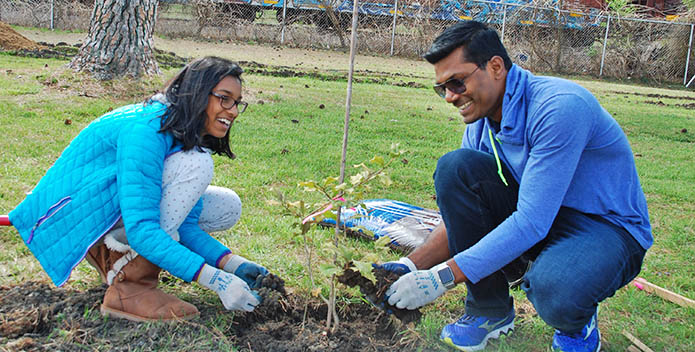 A man and woman laugh while planting a tree.