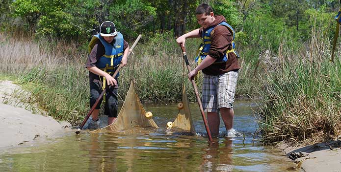 kids-seining-pleasure-house-point_Staff_695x352.jpg