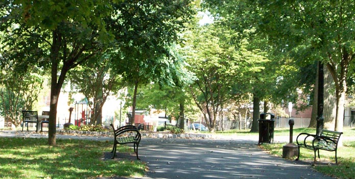 A pleasant path flanked by iron benches winds through a tree-filled park.