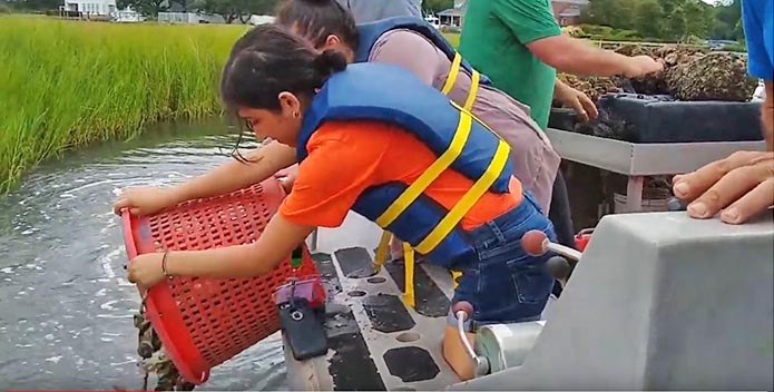 Latina students empty a bushel of oyster shells containing baby spat over the side of a CBF education vessel.