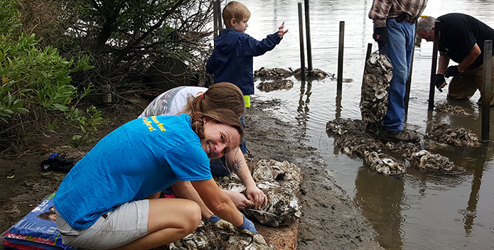 living-shoreline-beginning-phase-at-Bluebird-Gap-Farm