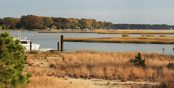 Lynnhaven Fall 2 Kenny Fletcher 695x352
