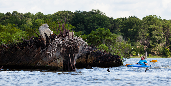 mallows bay-will parson CBP-695x352