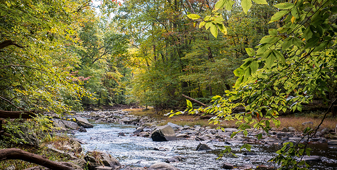 md forests 695x352