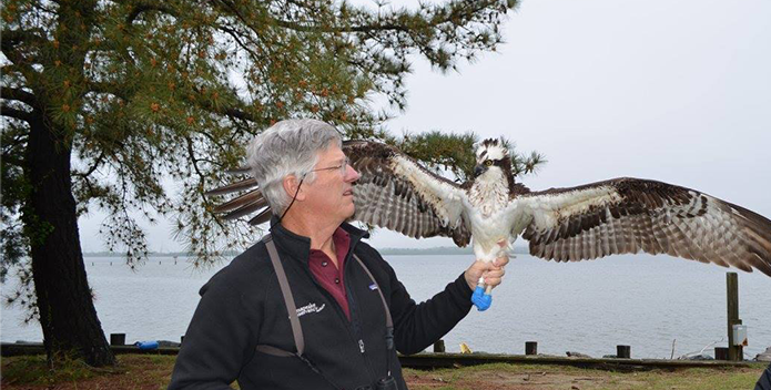 Osprey Tracking 695x352