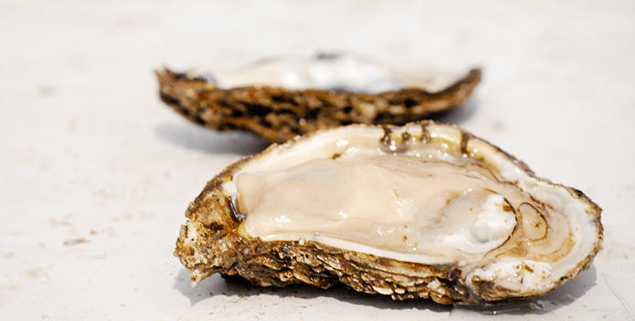 oyster on half shell-CBP-695x355