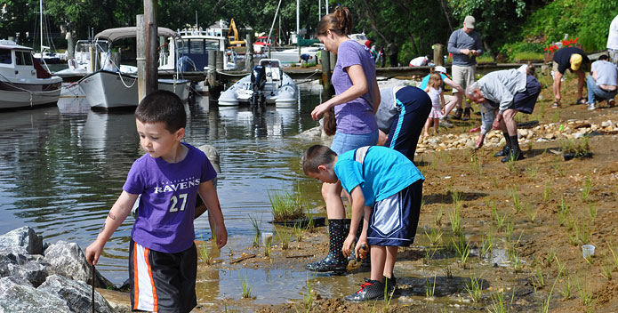 parkwood-living-shoreline-planting_695x352.jpg