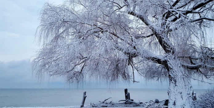 Image of a late January snow along the Bay.