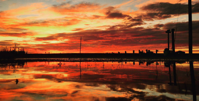 Image of a spectacular sunset over the water.