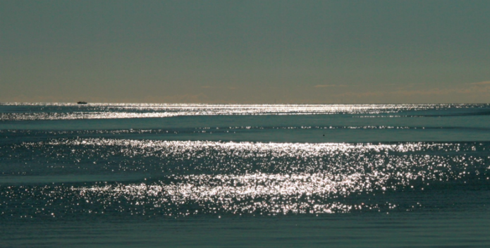 Image of morning sunlight on the Chesapeake Bay.