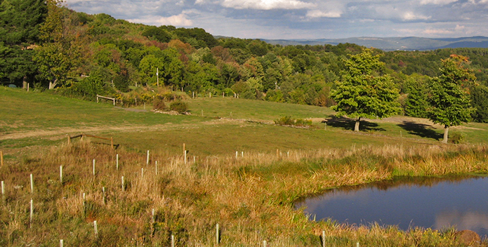 Plouse-Family-Farm-in-Bradford-County-PA_JenniferJohnsCBF_IMG_5108_695x354