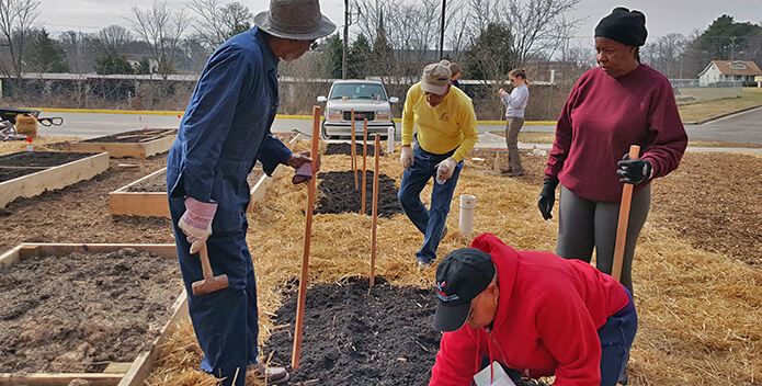 Four people prepare new plots for planting trees in an open lot.