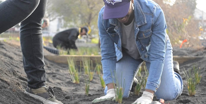 A woman digs into the dirt and helps plant a community garden at a church. 