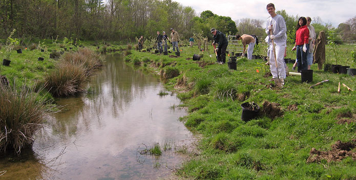 stream-buffer-with-volunteers_CBFStaff_695x352.jpg