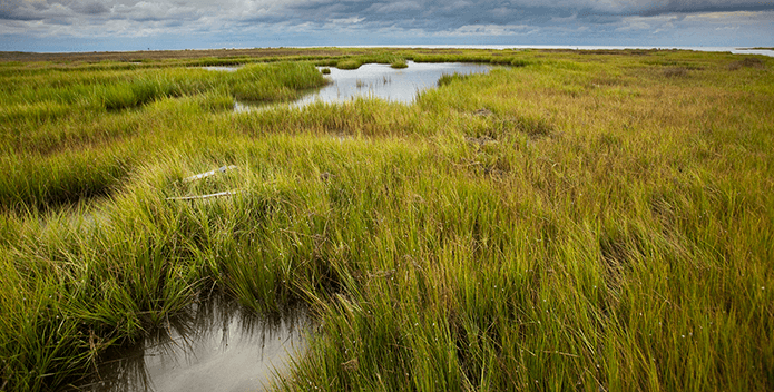 Stormy skies hang over the marshlands surrounding Smith Island in the Chesapeake Bay.