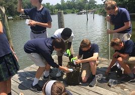 Seventh-graders clean their oysters on a dock. 