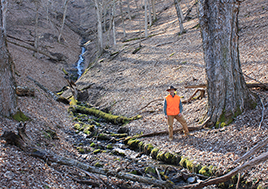 A photo of Bill Limpert standing by a stream that flows through his property.