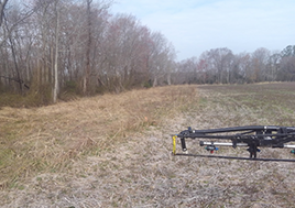 A photo of a buffer whihc protects the pristine Dragon Run Swamp from farm runoff. 