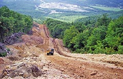 A bulldozer sits in the middle of a wide swath of dirt cutting through a thick forest.