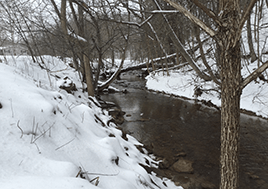 A creek runs through a snow covered riparian zone.