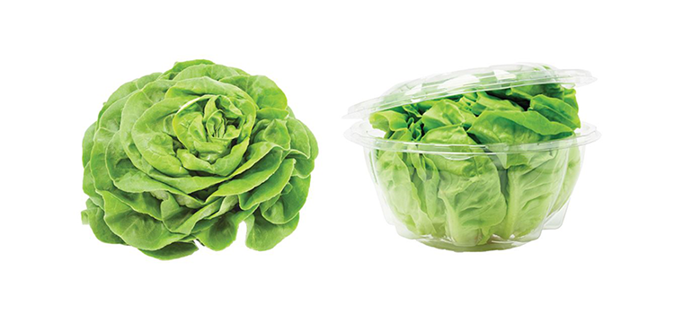 Two heads of green lettuce, one shown in plastic packaging.