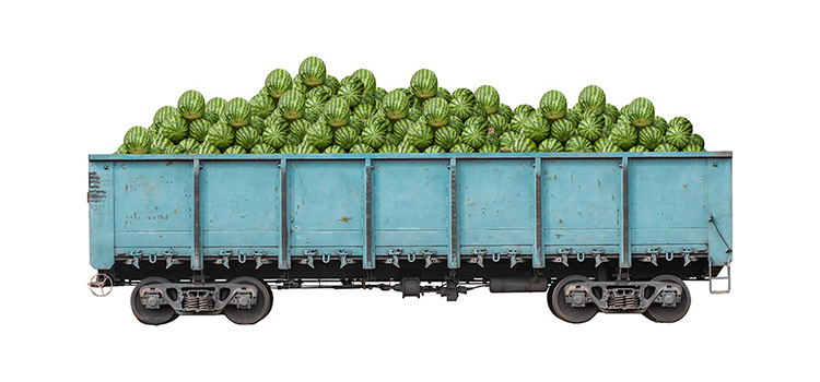 Light blue, open top railway car filled with watermelon.