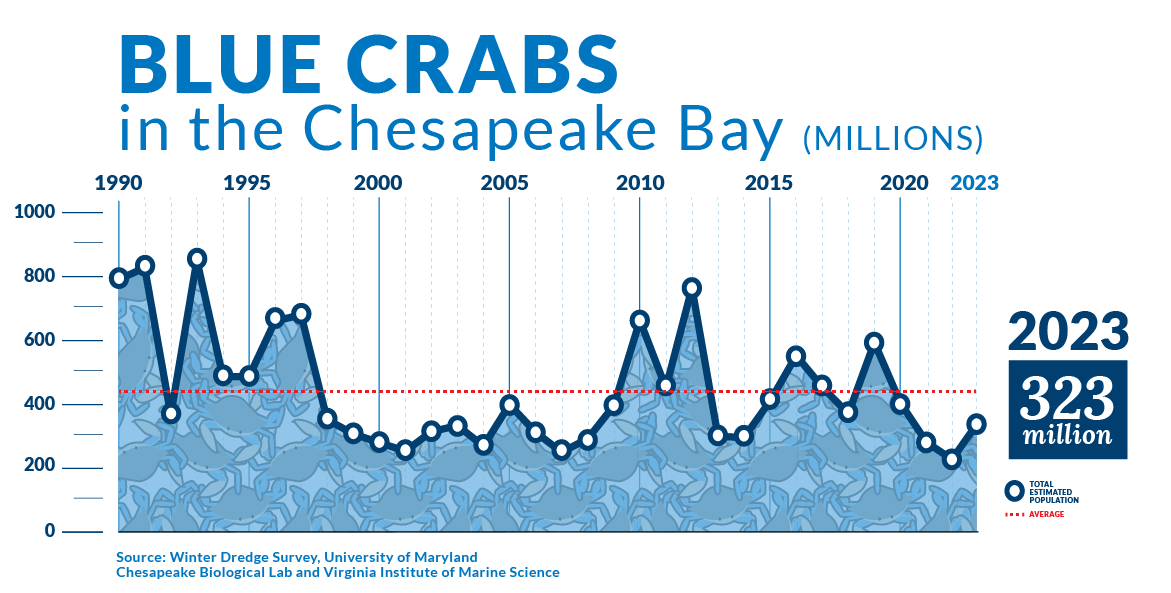 Blue Crabs in the Chesapeake Bay in millions (apx.): 1990, 800; 1995, 500; 2000, 300; 2005, 400; 2010, 700; 2015, 400; 2020, 400; 2023, 300. Source: Winter Dredge Survey, University of Maryland Chesapeake Biological Lab, and Virginia Institute of Marine Science.