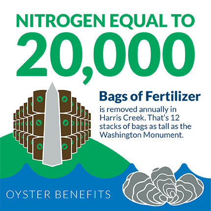 Nitrogen equal to 20,000 bags of fertilizer is removed annually in Harris Creek. That's 12 stacks of bags as tall as the Washington Monument. Graphic credit: copyright Chesapeake Bay Foundation