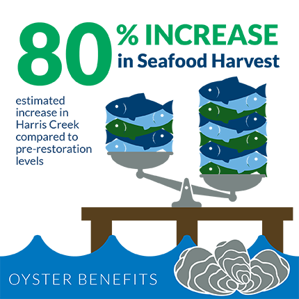 An 80 percent increase in seafood harvest is estimated in Harris Creek compared to pre-oyster-restoration levels. Graphic credit: copyright Chesapeake Bay Foundation